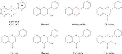Integrated metabolome and transcriptome analysis provide insight into the biosynthesis of flavonoids in Panax japonicus